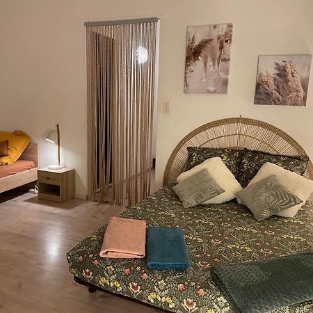 T2 Plein Centre Au 1Er Etage Avec Parking Prive Lägenhet Millau Exteriör bild